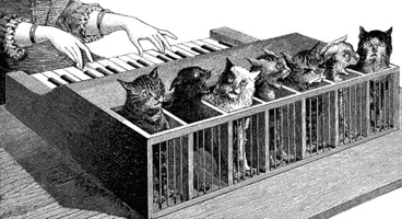 musical cats