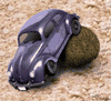 dung beetle