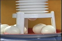 eggstractor